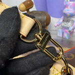 Louis Vuitton Odyssee Bag M25085 Brown